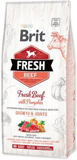 Brit Fresh Beef With Pumpkin - Puppy Large2