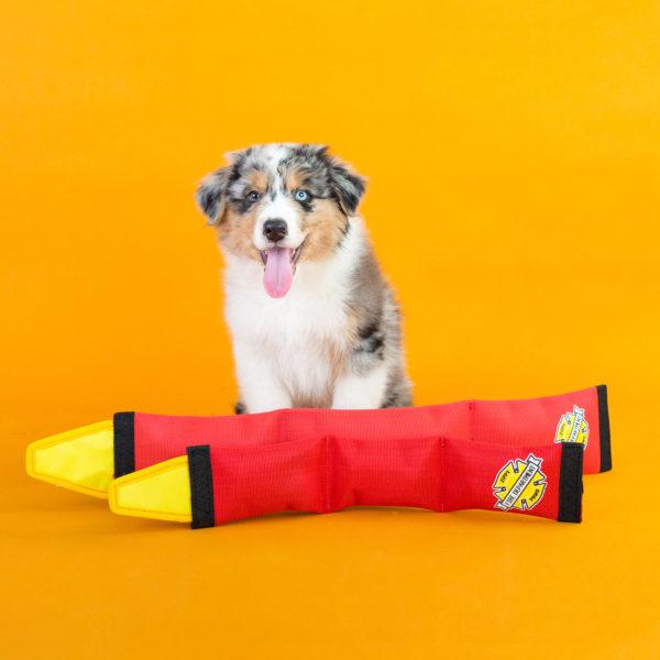 ZippyPaws Firehose Blaster L3